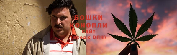 мдпв Бугульма