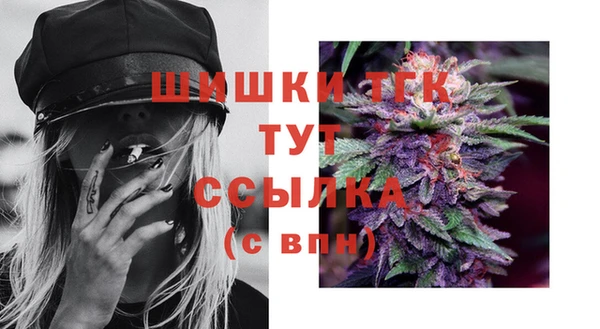 jwh Бородино