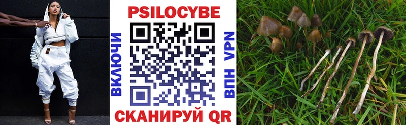 Галлюциногенные грибы мицелий Медынь